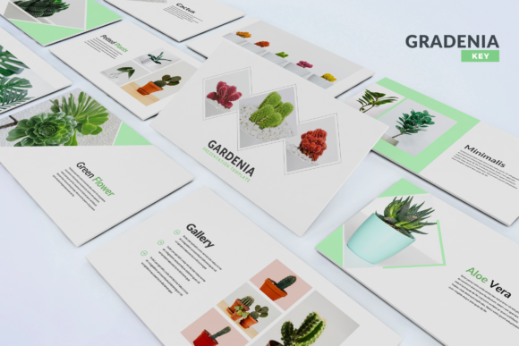 Gardenia Keynote Template: A Modern Solution for Polished Presentations