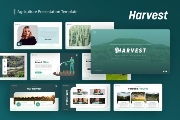 Harvest Agriculture Presentation: A Creative Toolkit for Visual Storytelling